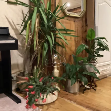 Gabrielle Appartement